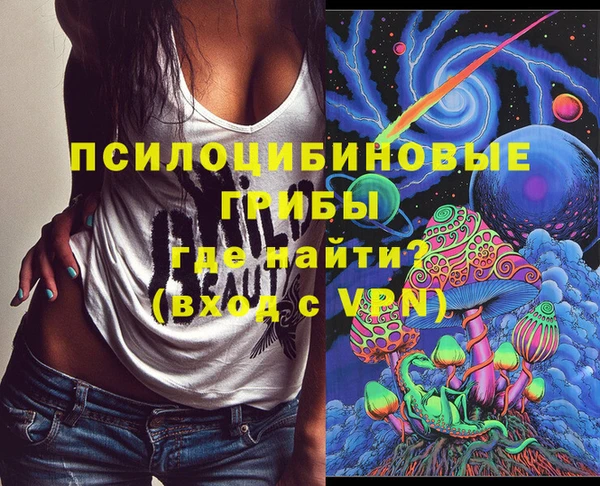 стаф Майский