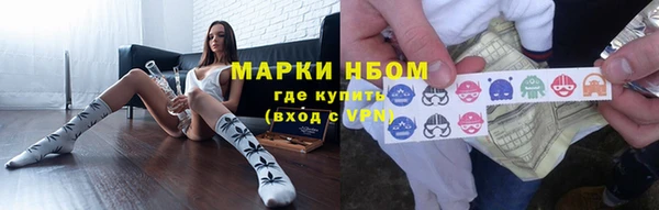 стаф Майский