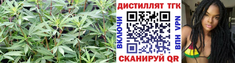 цена наркотик  Усть-Кут  ТГК вейп 