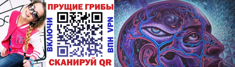 Псилоцибиновые грибы MAGIC MUSHROOMS  OMG tor  Усть-Кут  продажа наркотиков 
