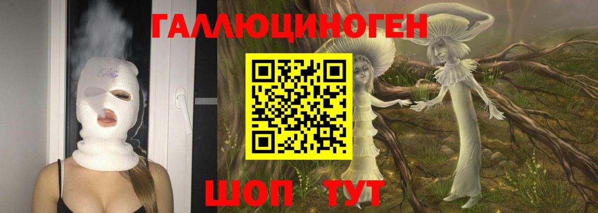 Усть-Кут  Псилоцибиновые грибы Cubensis  где можно купить наркотик  Вход с VPN 