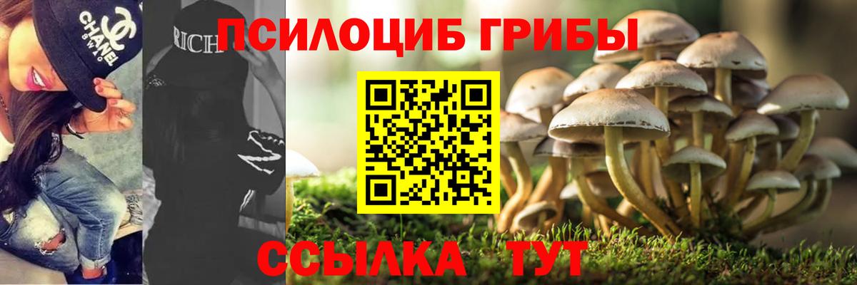 Псилоцибиновые грибы Magic Shrooms  Галлюциногенные грибы Cubensis  Усть-Кут 